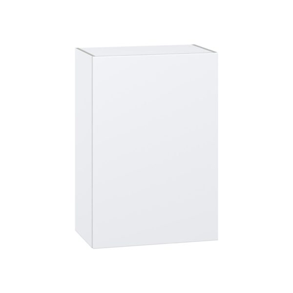 Lily Bright White  Slab Assembled Wall  Cabinet with Full High Door (24 in. W x 35 in. H x 14 in. D)