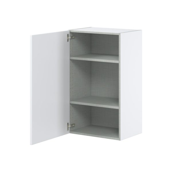 Lily Bright White  Slab Assembled Wall  Cabinet with Full High Door (21 in. W x 35 in. H x 14 in. D)