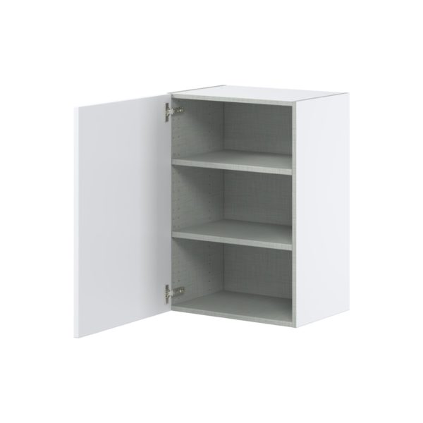 Lily Bright White  Slab Assembled Wall  Cabinet with Full High Door (21 in. W x 30 in. H x 14 in. D)