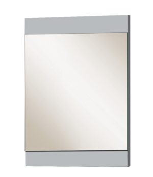 Begonia 24"W x 30"H Platinum Gray Framed Mirror