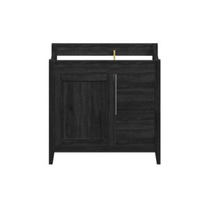 Foxglove 36"W x 21-5/8"D Coal Black Vanity Cabinet