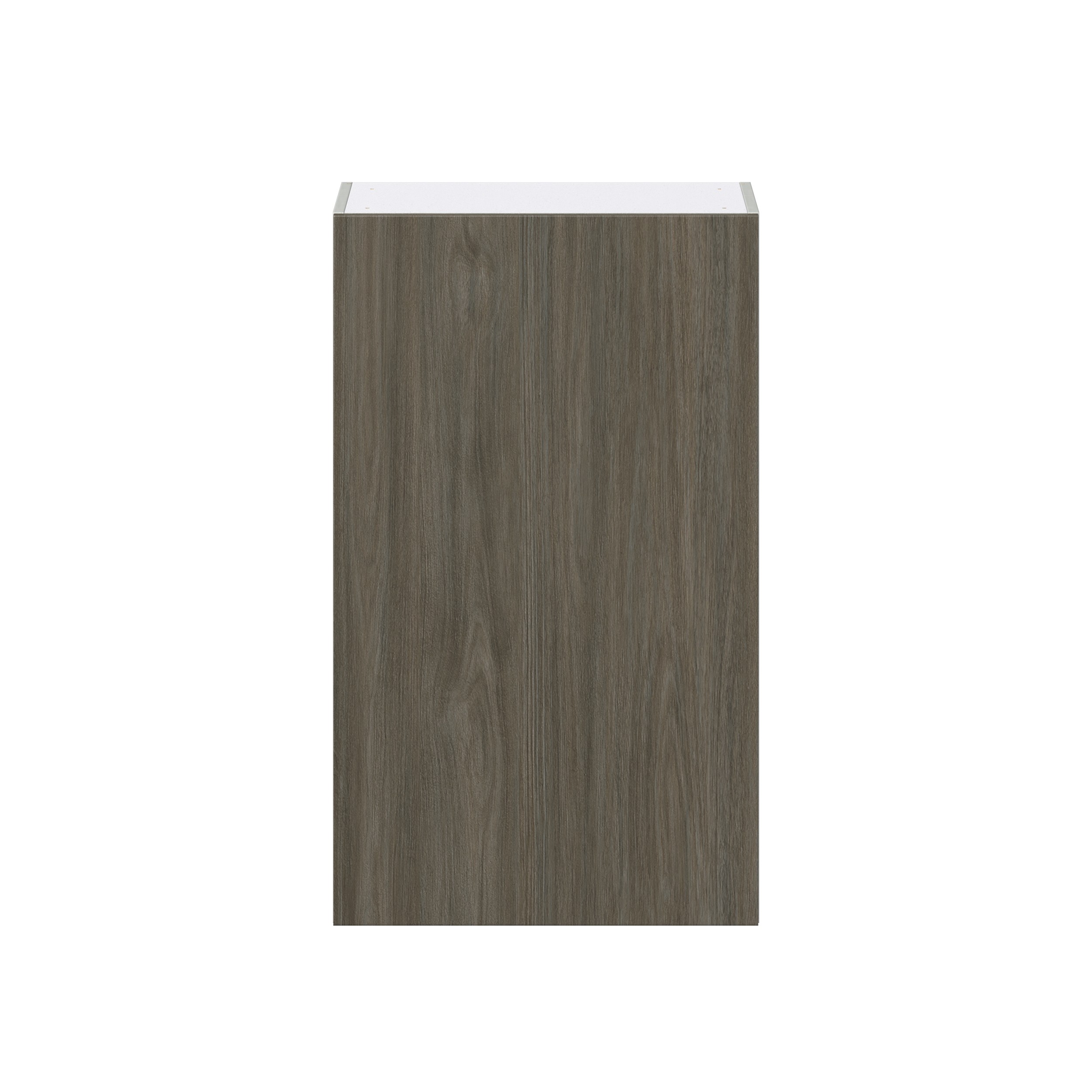 Cordyline Textured Slab Walnut Assembled Wall Cabinet with Full High Door (24 in. W x 40 in. H x 14 in. D)