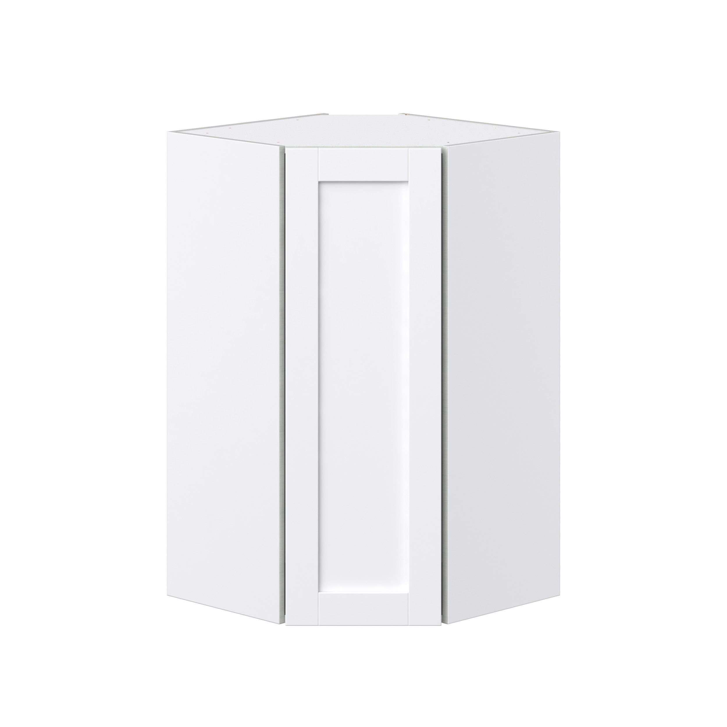 Dahlia Bright White Shaker Assembled Wall Diagonal Corner Cabinet with a Door (24 in. W x 40 in. H x 24 in. D)