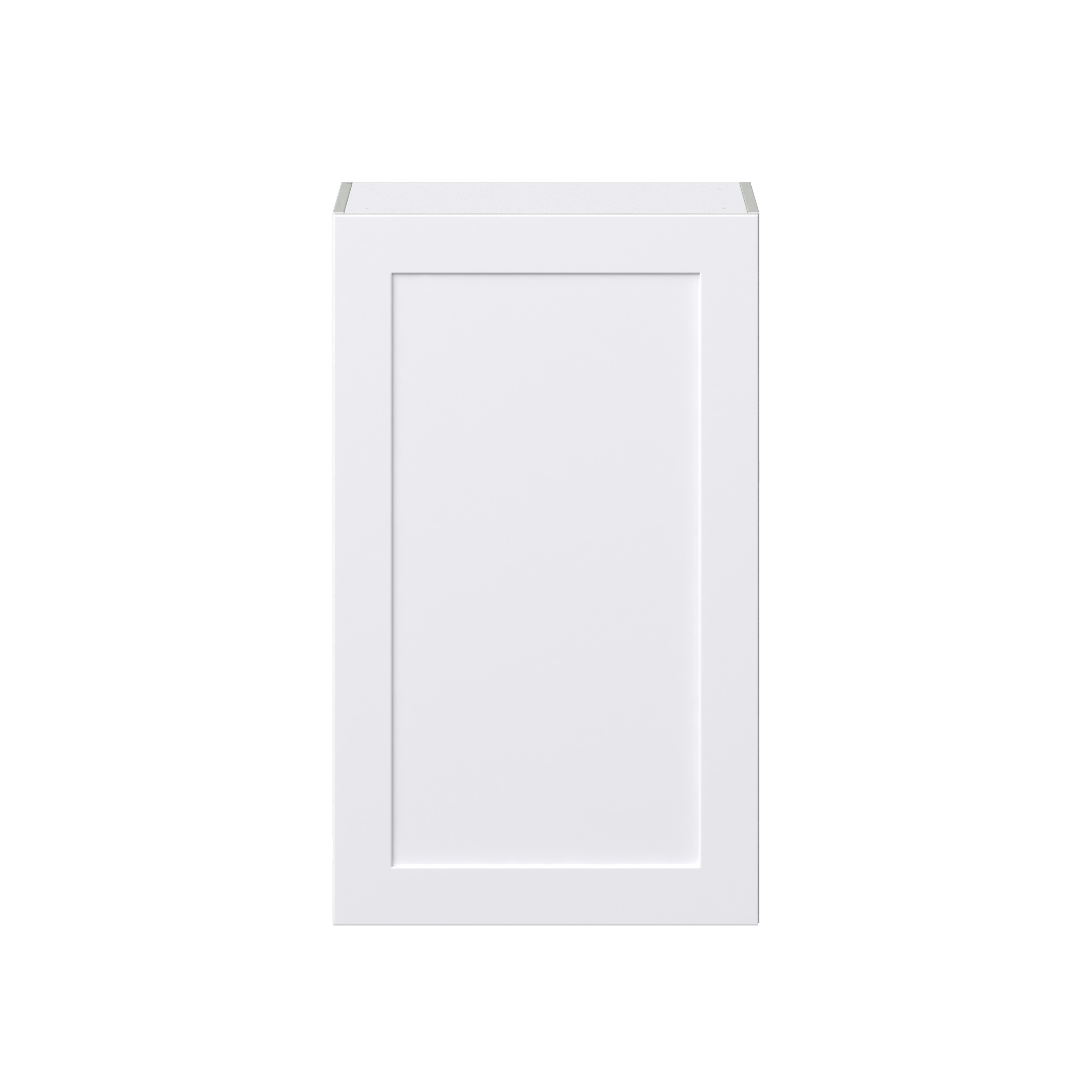 Jasmine Painted Warm White Shaker Assembled Wall Cabinet with Full High Door (24 in. W x 40 in. H x 14 in. D)