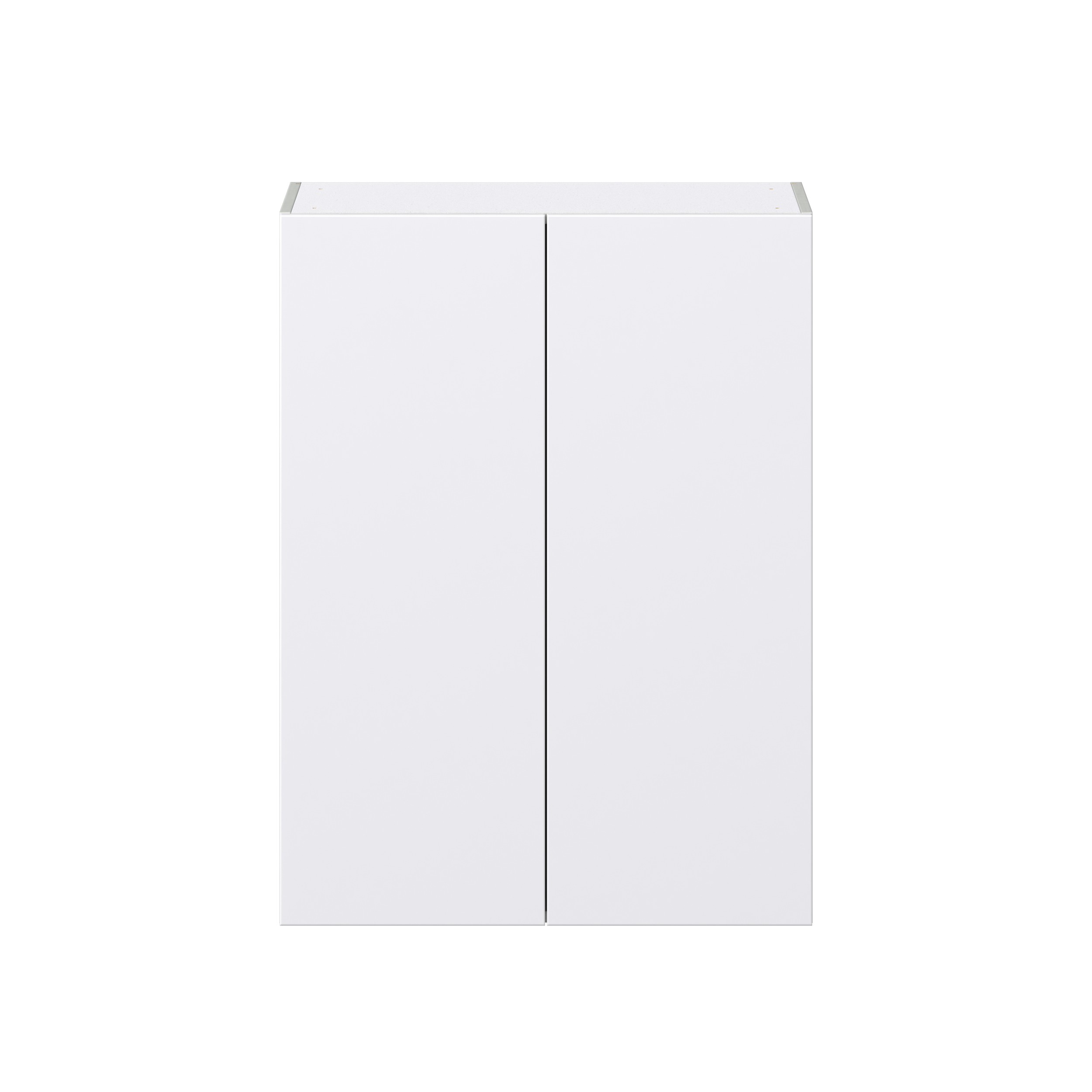 Lily Bright White Slab Assembled Wall Cabinet with 2 Full High Doors (30 in. W x 40 in. H x 14 in. D)