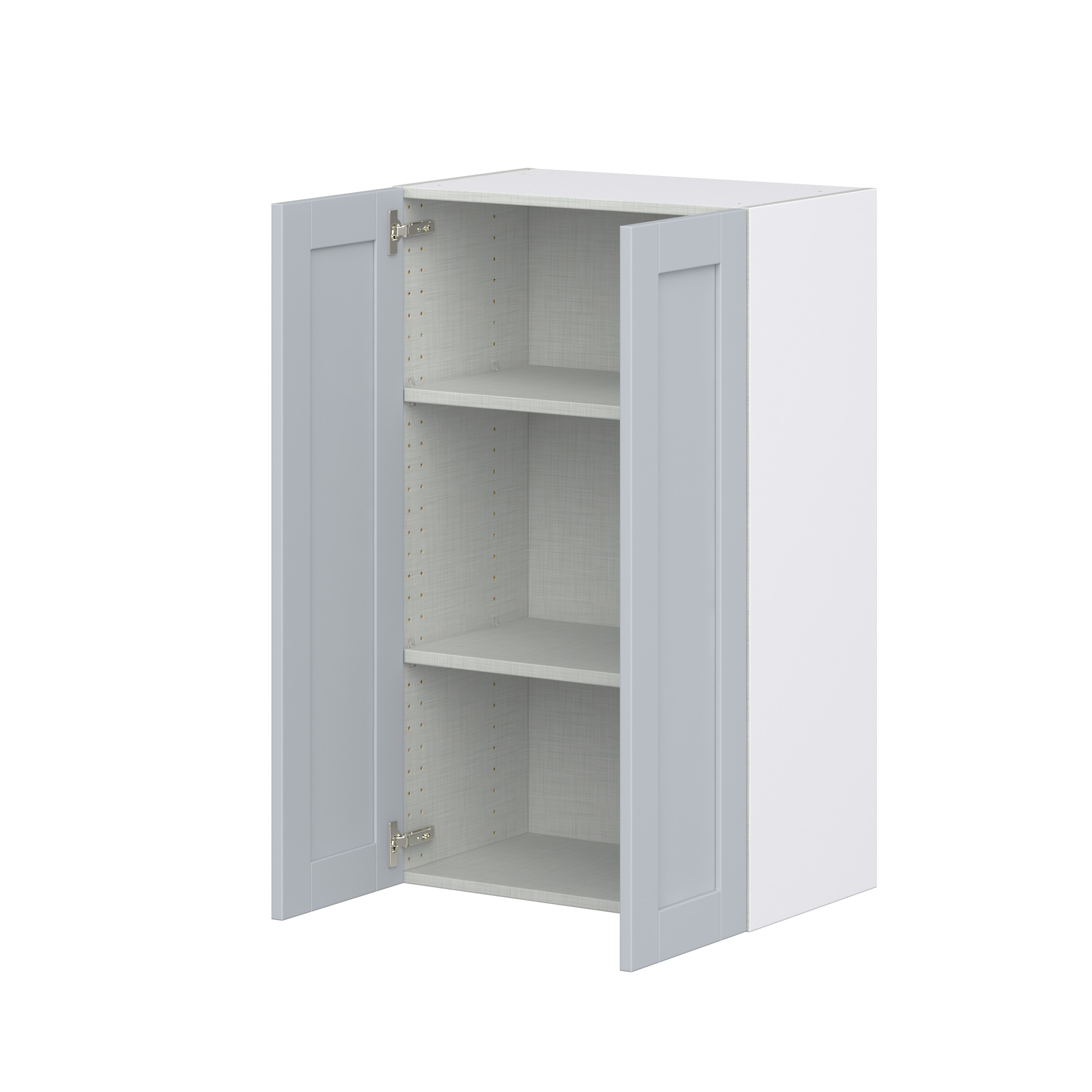 Sea Holly Light Gray Shaker Assembled Wall Cabinet with 2 Full High Doors (24 in. W x 40 in. H x 14 in. D)