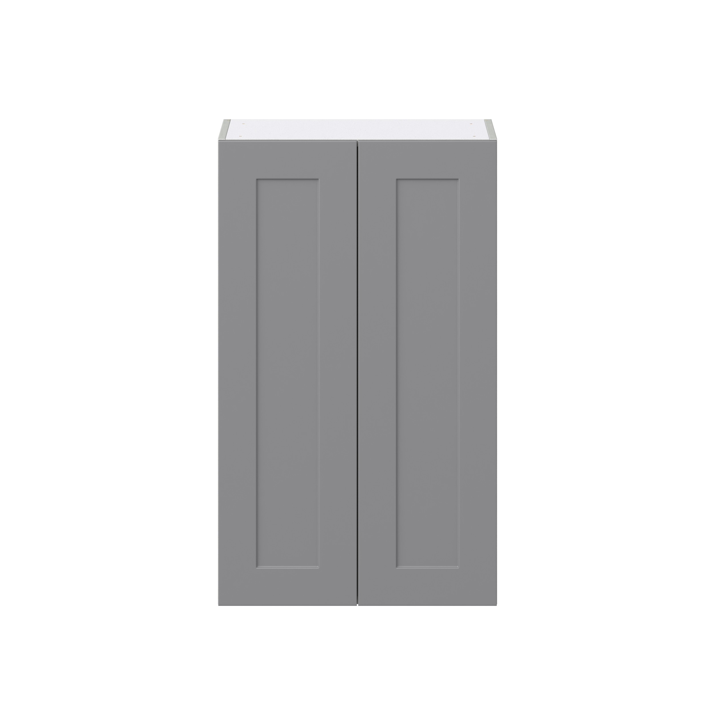 Willow Painted Slate Gray Shaker Assembled Wall Cabinet with 2 Full High Doors (24 in. W x 40 in. H x 14 in. D)