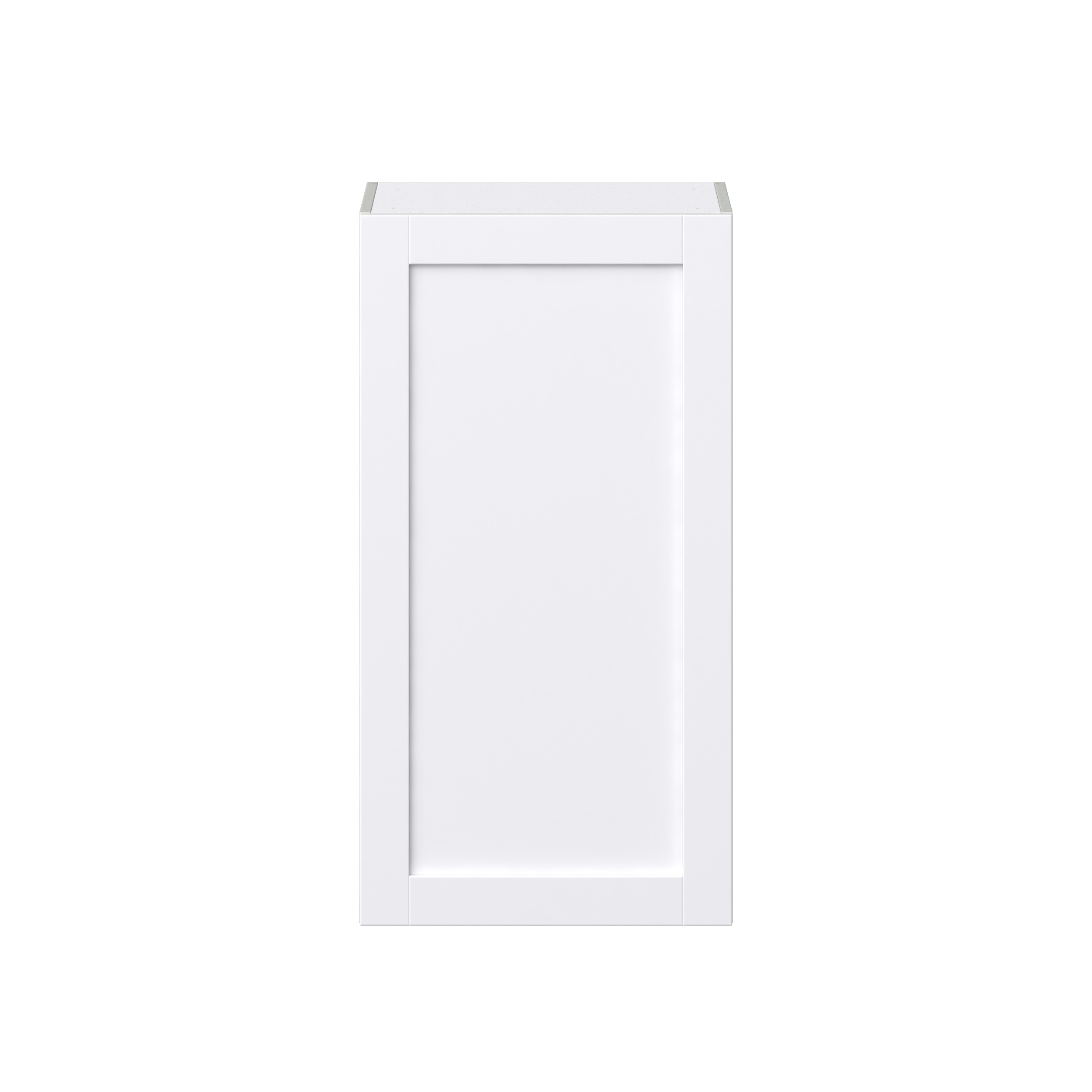 Dahlia Bright White Shaker Assembled Wall Cabinet with Full High Door (21 in. W x 40 in. H x 14 in. D)