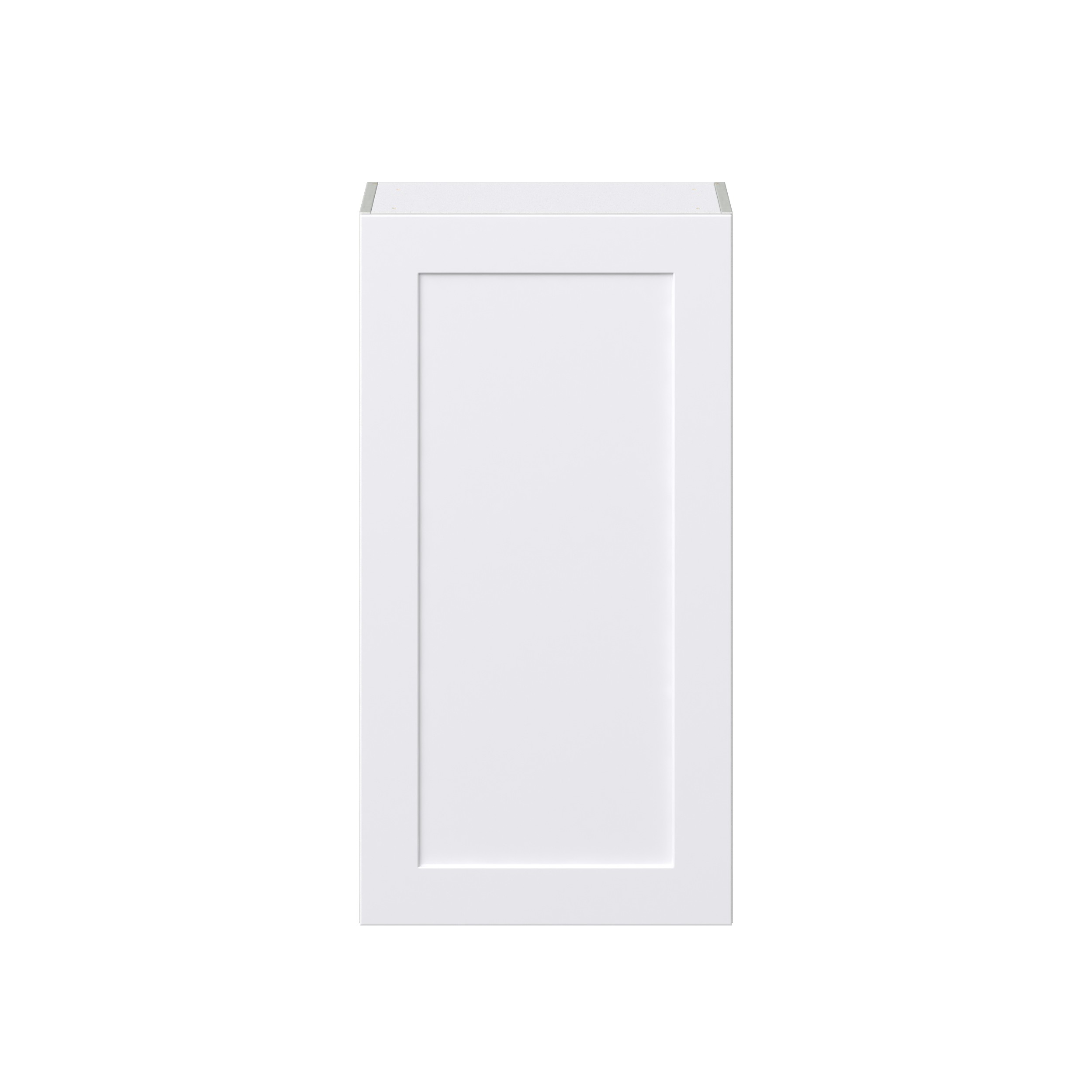 Jasmine Painted Warm White Shaker Assembled Wall Cabinet with Full High Door (21 in. W x 40 in. H x 14 in. D)