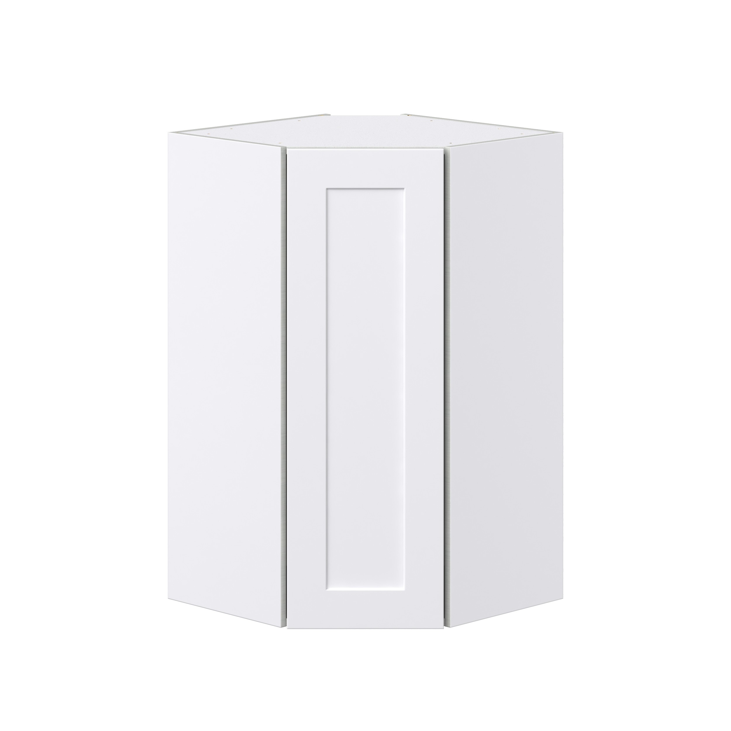 Jasmine Painted Warm White Shaker Assembled Wall Diagonal Corner Cabinet with a Door (24 in. W x 40 in. H x 24 in. D)