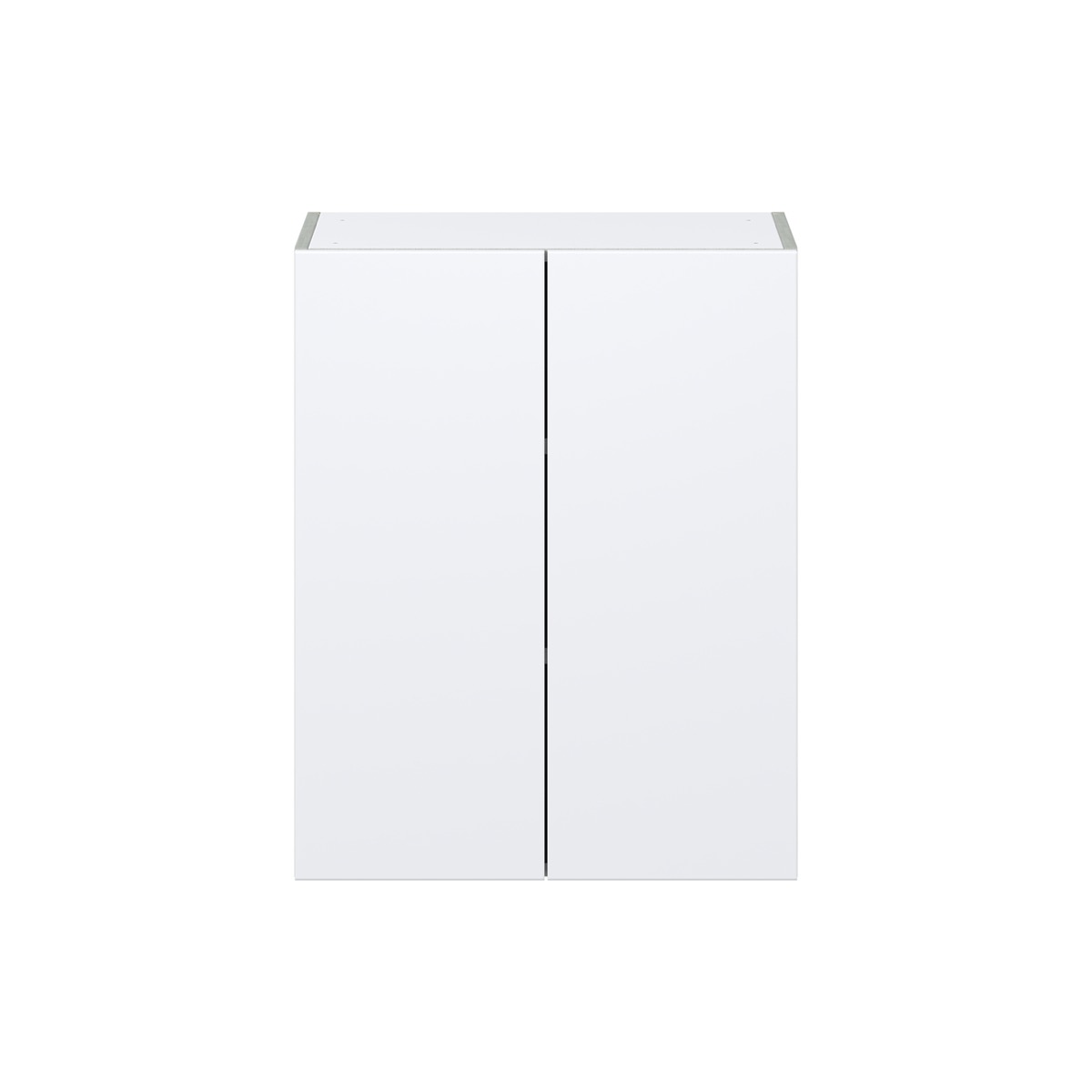 Lily Bright White  Slab Assembled Wall  Cabinet  with 2 Full high Doors (24 in. W x 30 in. H x 14 in. D)