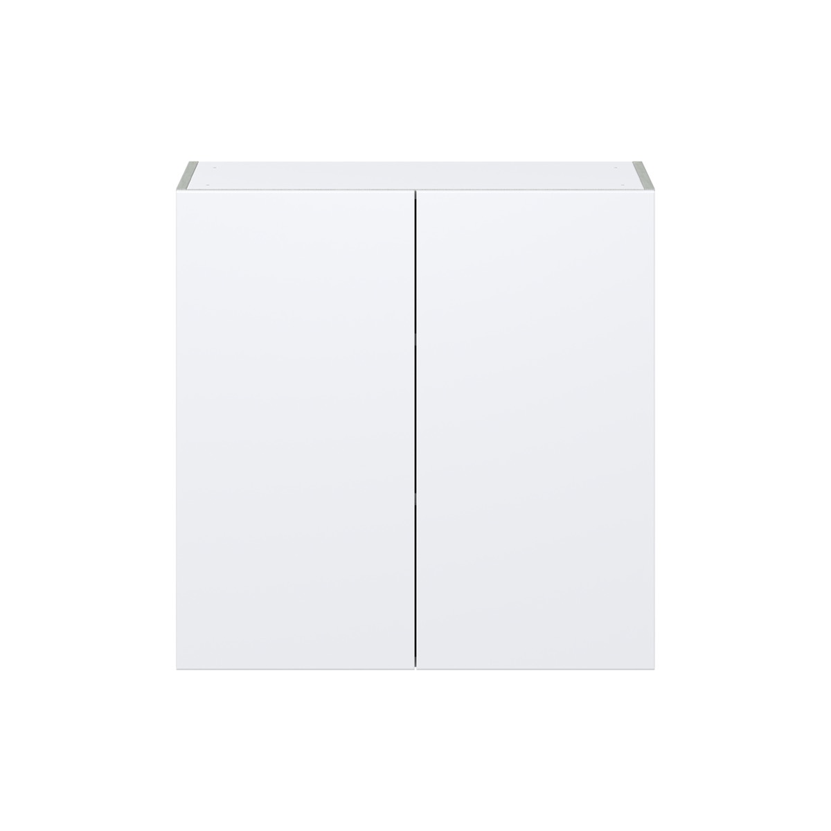 Lily Bright White  Slab Assembled Wall  Cabinet with 2 Full High Doors (30 in. W x 30 in. H x 14 in. D)