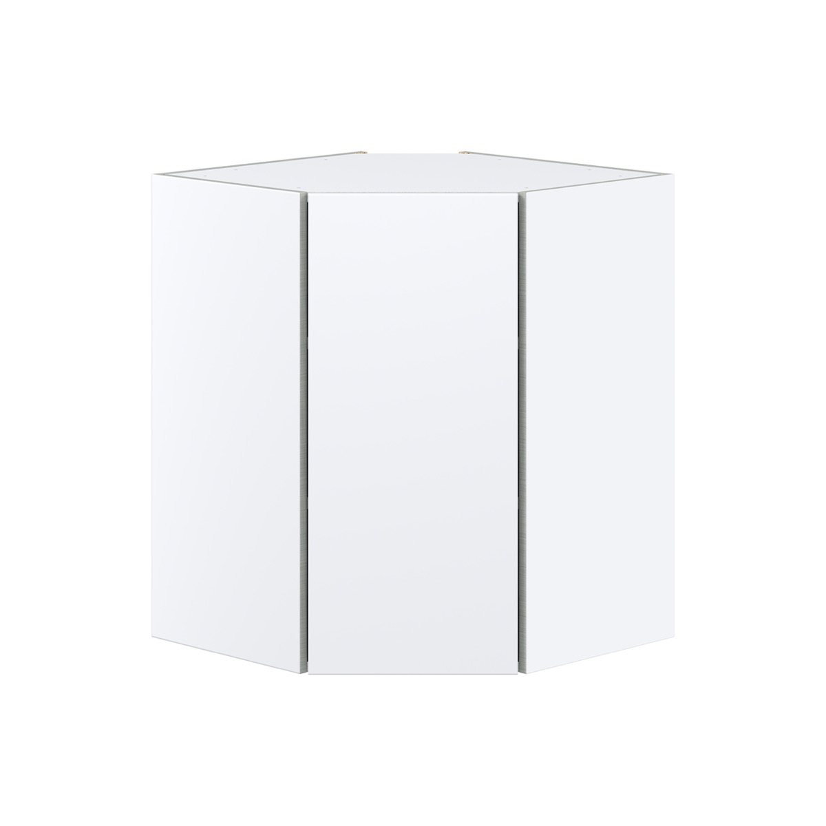 Lily Bright White  Slab Assembled Wall Diagonal Corner Cabinet with a Door (24 in. W x 30 in. H x 24 in. D)