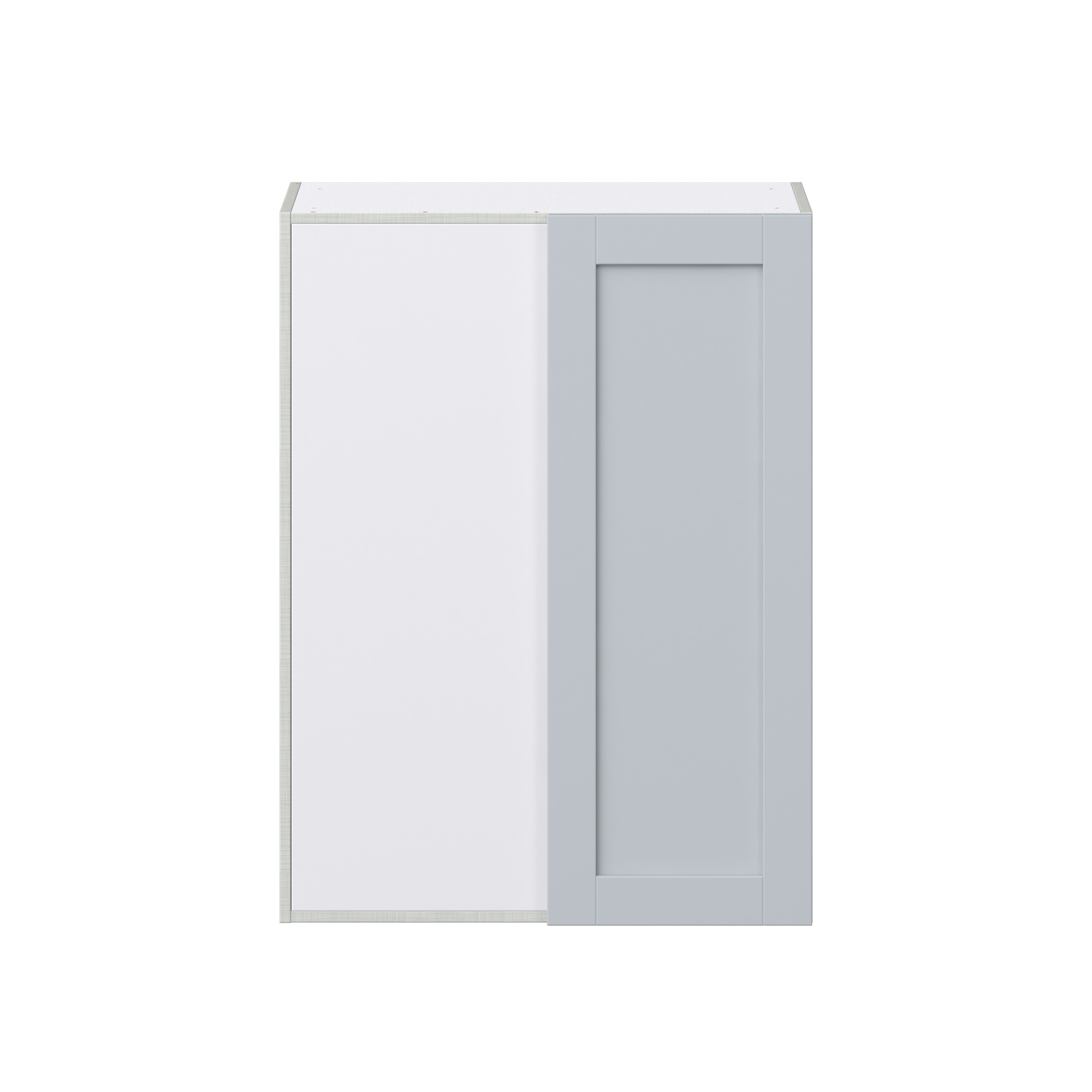 Sea Holly Light Gray Shaker Assembled Wall Blind Corner Cabinet (30 in. W X 40 in. H X 14 in. D)